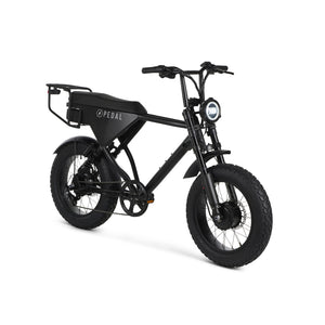 2000 Watt All Wheel Drive Electric Bike