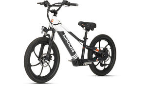 e20x balance bike for kids electric